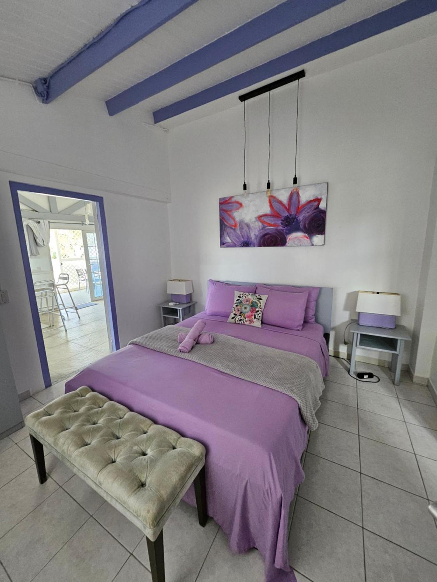 Villa Raven'S Paradise Βίλλεμσταντ Εξωτερικό φωτογραφία
